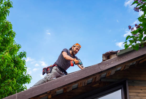 Best Roof Maintenance and Cleaning  in Ishpeng, MI