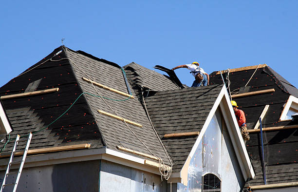 Best Roof Insulation Installation  in Ishpeng, MI
